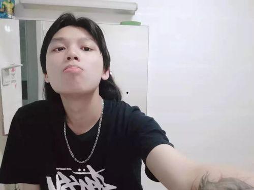 明星张浩楠,星光璀璨的演艺之路