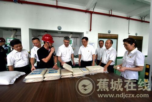 蕉城岐头新闻头条,揭秘岐头村发展新篇章