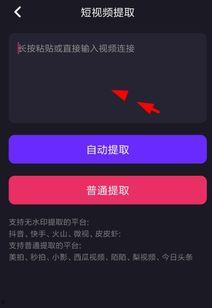娱乐爆料水印怎么做,轻松打造个性水印，守护你的原创内容