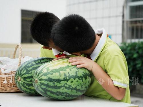 吃瓜广西柳州,探寻广西柳州独特的美食文化