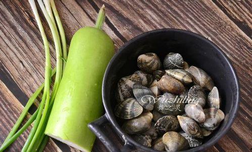 苦斋婆和蒲瓜能一起吃,相克还是相宜的奇妙组合