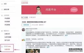 回答头条问答有什么要求,内容规范与互动要求详解