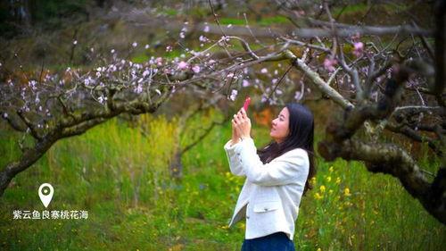 网红风景视频美女图片,绝美风景与时尚美女的视觉盛宴