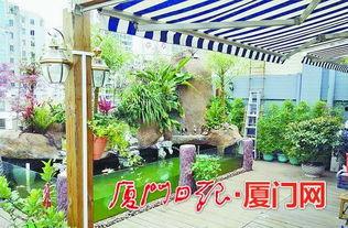 楼顶网红小鱼池图片,诗意栖息的都市角落