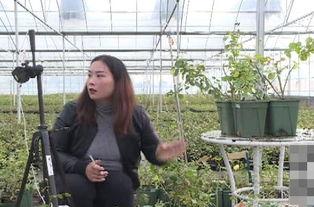 网红宿迁人,网络时代下的城市新名片