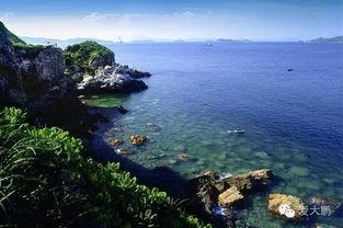 大鹏新区的明星,明星闪耀的活力新区掠影