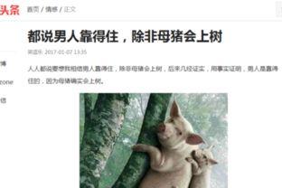 头条100个搞笑视频,让你笑到肚子疼