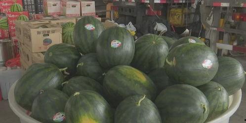 近期热门吃瓜事件济宁,揭秘近期热门吃瓜事件背后的真相