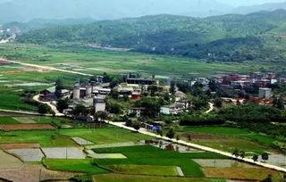 奉新县枫桥镇新闻头条,聚焦乡村振兴，共绘美好家园新画卷