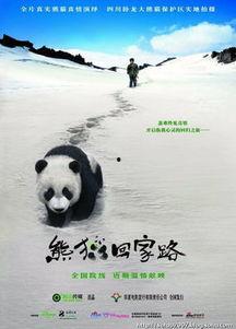 熊猫回家路在线观看,穿越山川的温馨归途