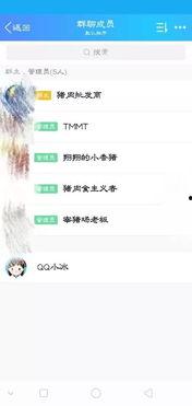 吃瓜的群聊名称,揭秘“吃瓜群”背后的趣味与热议