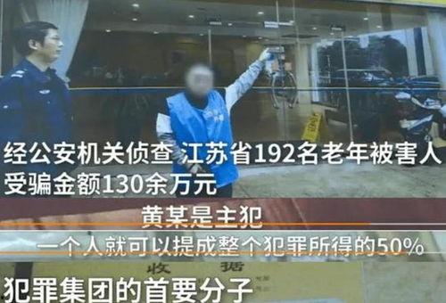 诈骗犯明星,揭秘明星诈骗犯的惊人真相