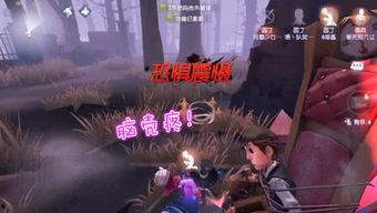 游戏姬的吃瓜大会,盘点娱乐圈最新热点与幕后故事