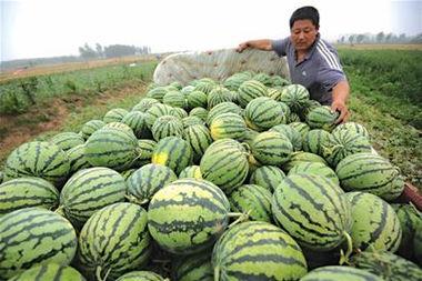 农民吃瓜馒头视频,农民创意美食走红网络