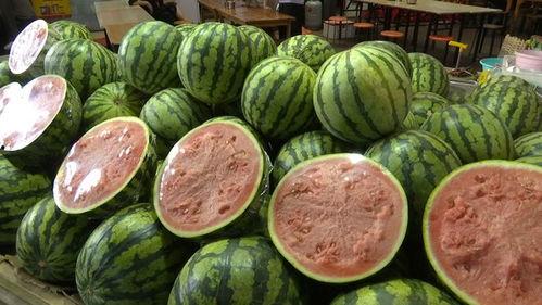 自由吃瓜大瓜,揭秘娱乐圈幕后风云