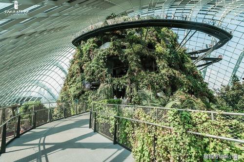 新加坡的网红瀑布在哪里,隐匿于都市的清新秘境