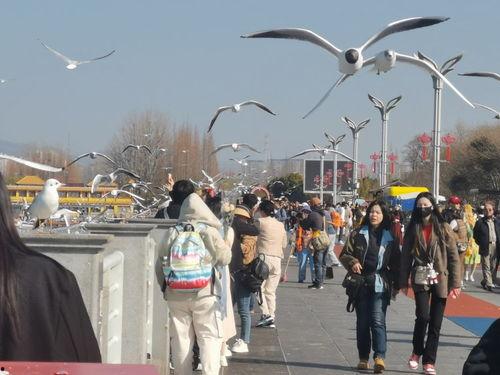 昆明市新闻爆料,突发事件引发关注，详情即将揭晓