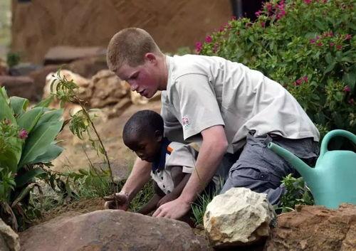 吃瓜皇家,揭秘吃瓜皇家背后的故事