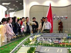 覃塘区新闻头条2019,重大事件与成就盘点