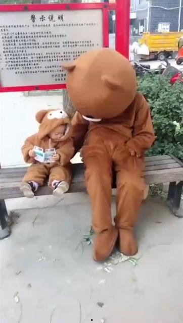 网红熊宝宝说英语,网红萌娃的英语学习之旅