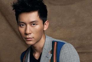 李晨干过哪些明星,李晨与多位明星的精彩合作瞬间