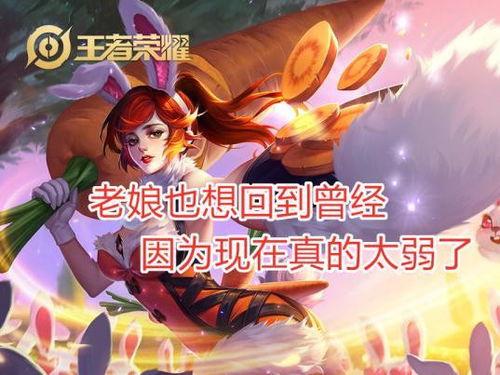 王者爆料花姐视频下载免费,免费下载攻略大公开