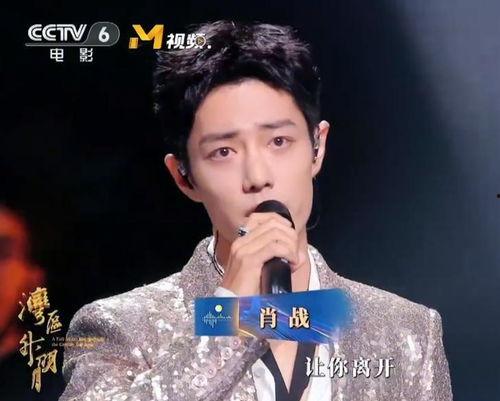 老港明星,老港明星的辉煌岁月与传奇人生