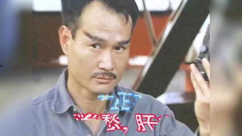 多少明星酗酒,揭秘酗酒明星背后的故事