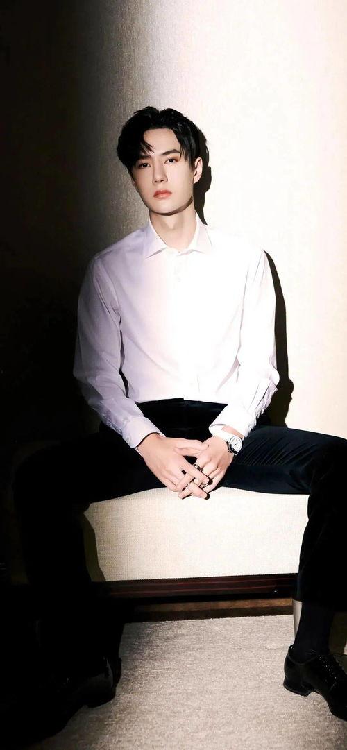 王什么琦 明星,音乐梦想与人生辉煌的交织