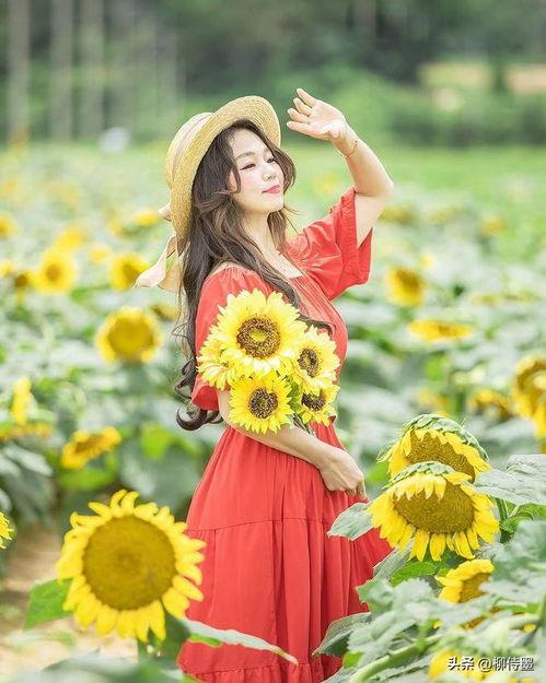 头条拍摄什么花好看女生,捕捉女生镜头下的美丽花朵瞬间