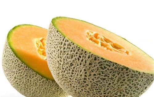 秋季吃哈密瓜好吗?,秋季享用哈密瓜的益处与选择指南