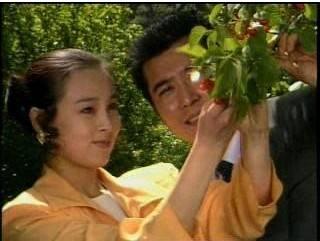 女人不是月亮电视剧全集在线观看