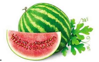 吃不得瓜的视频,揭秘“吃不得瓜”背后的真相与争议