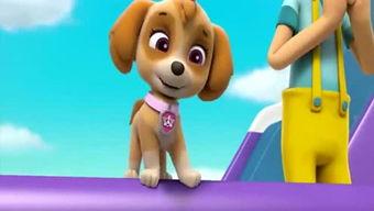 小汪汪吃瓜娱乐说,揭秘娱乐圈幕后故事