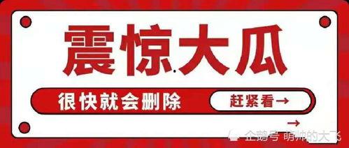 娱乐圈吃瓜合集视频网址,吃瓜合集视频大放送！
